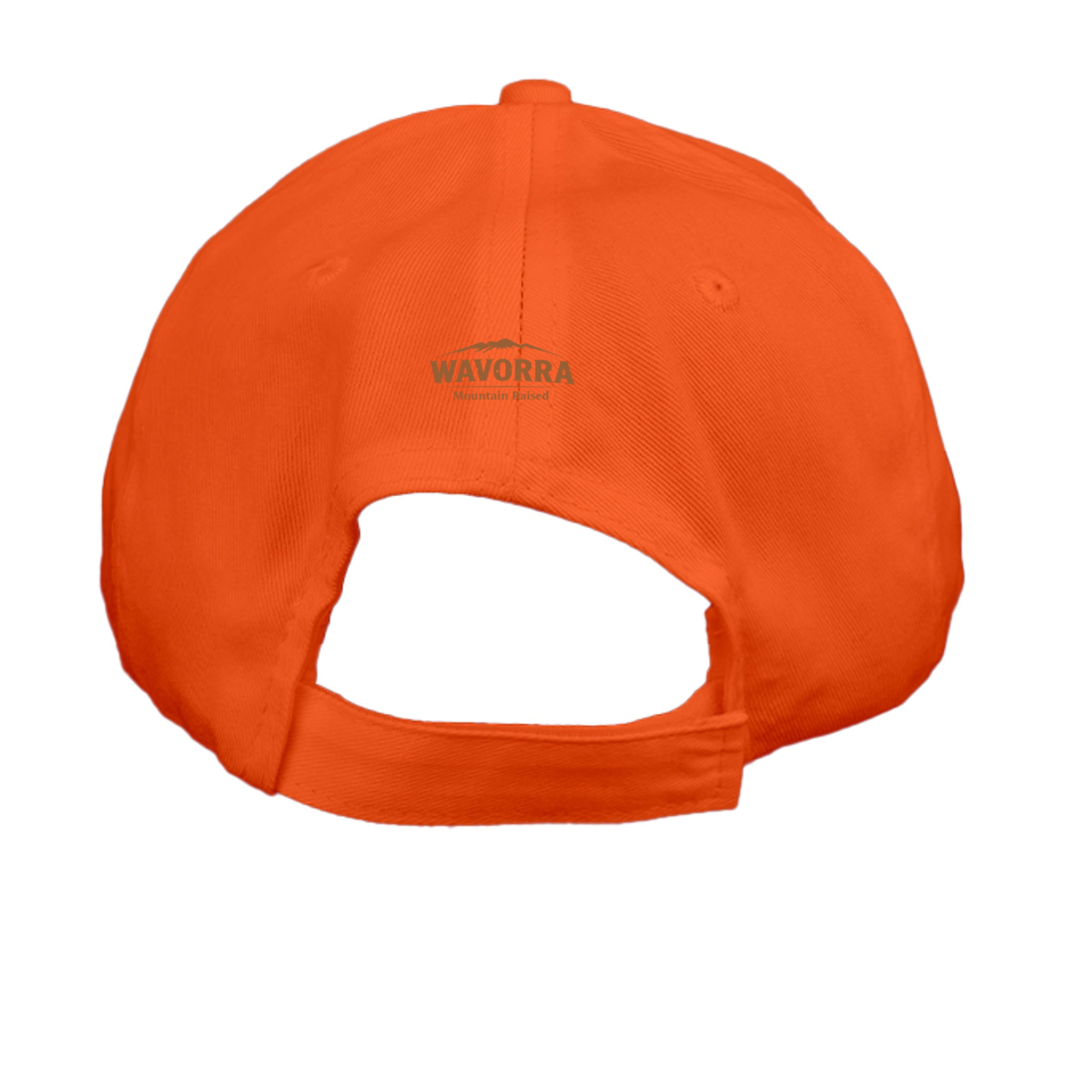 Orange - CP80 - BACK