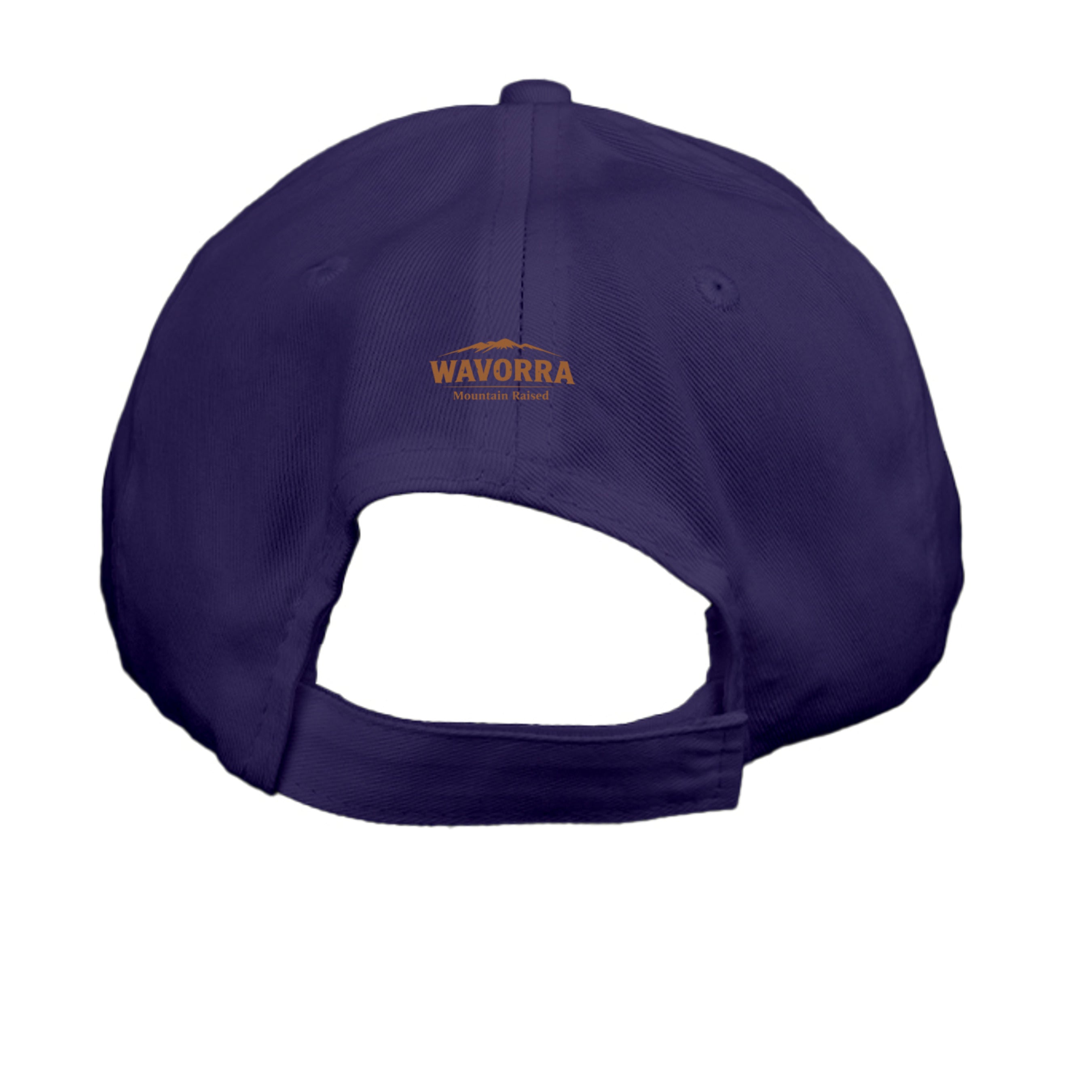 Purple - CP80 - BACK